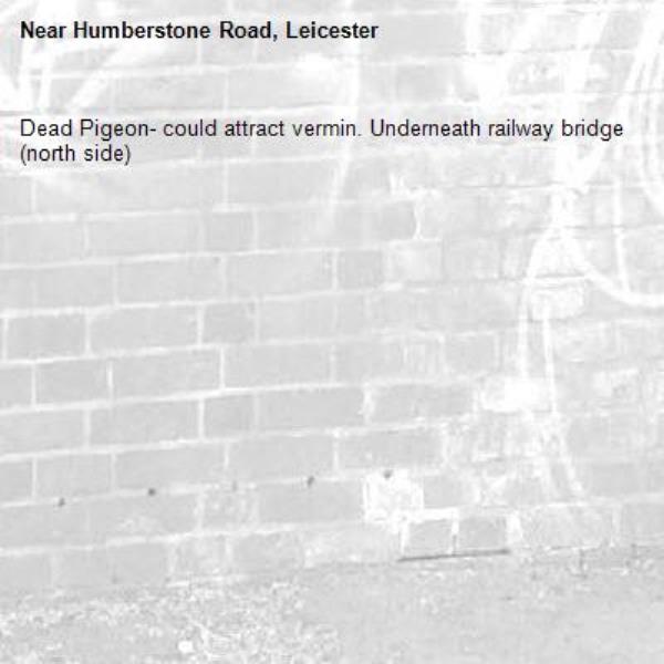 Dead Pigeon- could attract vermin. Underneath railway bridge (north side)-Humberstone Road, Leicester