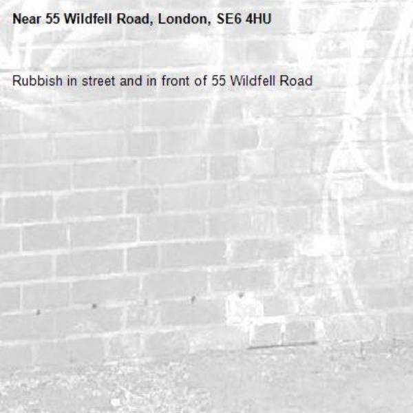 Rubbish in street and in front of 55 Wildfell Road -55 Wildfell Road, London, SE6 4HU