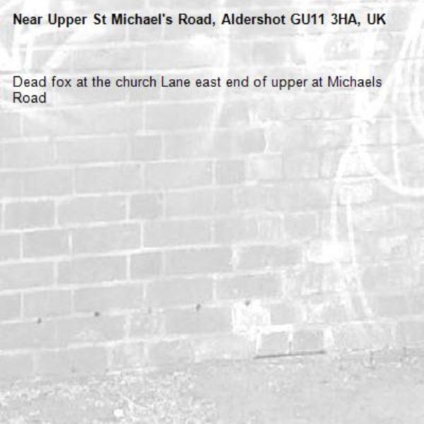 Dead fox at the church Lane east end of upper at Michaels Road -Upper St Michael's Road, Aldershot GU11 3HA, UK