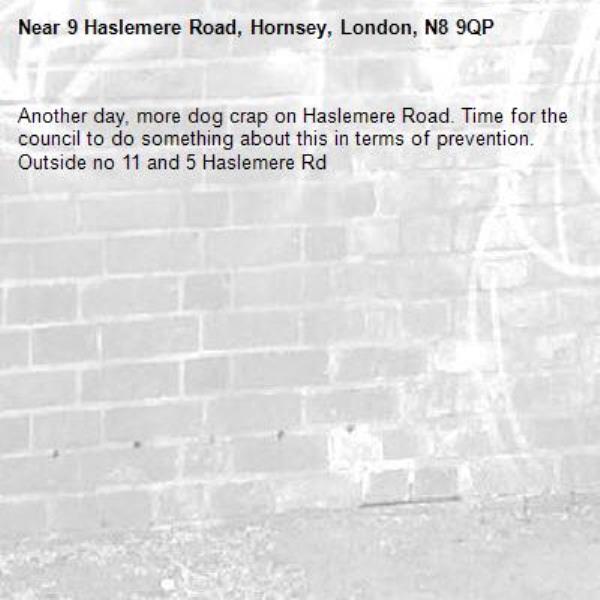 Another day, more dog crap on Haslemere Road. Time for the council to do something about this in terms of prevention. Outside no 11 and 5 Haslemere Rd-9 Haslemere Road, Hornsey, London, N8 9QP