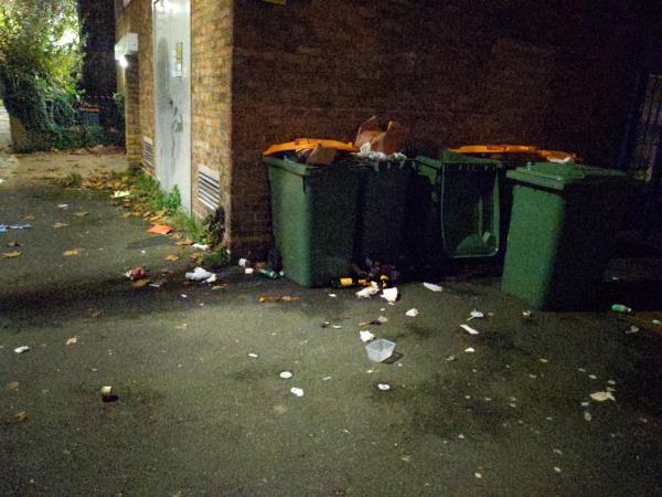 Rubbish bins over flowing-5 Dyson Road, West Ham, E15 4JX, England, United Kingdom