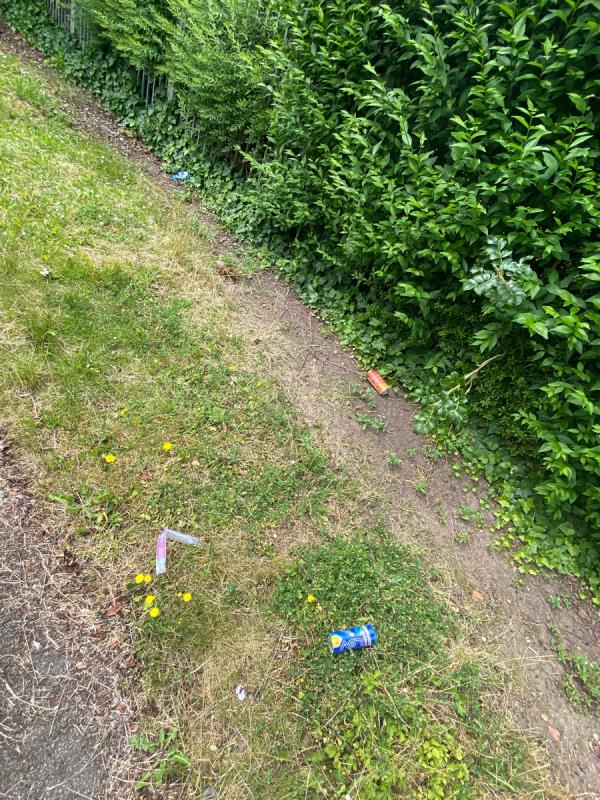 Continuing problems with litter around mayfield medical centre -The Mayfield Medical Centre Willenhall Road, Wolverhampton, WV1 2GZ