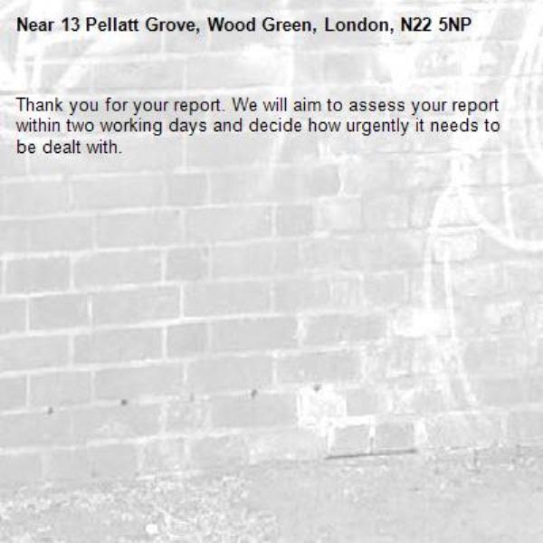 Thank you for your report. We will aim to assess your report within two working days and decide how urgently it needs to be dealt with.-13 Pellatt Grove, Wood Green, London, N22 5NP
