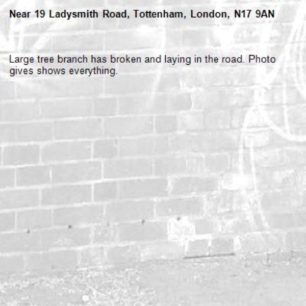Large tree branch has broken and laying in the road. Photo gives shows everything. -19 Ladysmith Road, Tottenham, London, N17 9AN