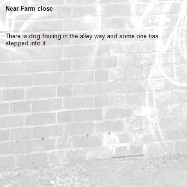 There is dog fouling in the alley way and some one has stepped into it-Farm close