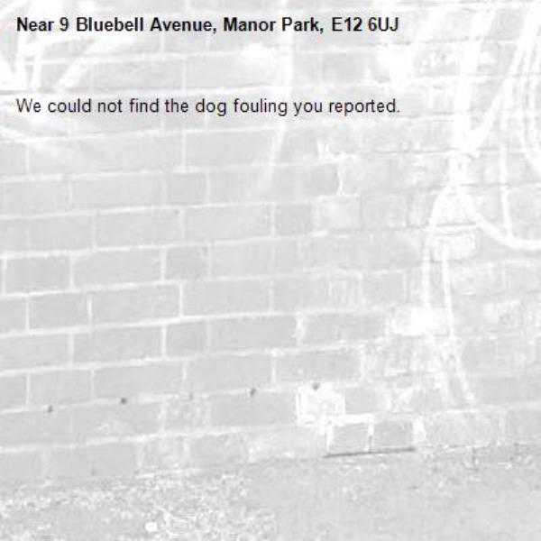 We could not find the dog fouling you reported.-9 Bluebell Avenue, Manor Park, E12 6UJ