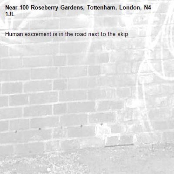 Human excrement is in the road next to the skip -100 Roseberry Gardens, Tottenham, London, N4 1JL
