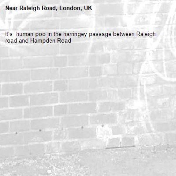 It's  human poo in the harringey passage between Raleigh road and Hampden Road-Raleigh Road, London, UK
