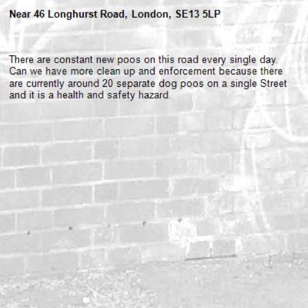 There are constant new poos on this road every single day. Can we have more clean up and enforcement because there are currently around 20 separate dog poos on a single Street and it is a health and safety hazard. -46 Longhurst Road, London, SE13 5LP