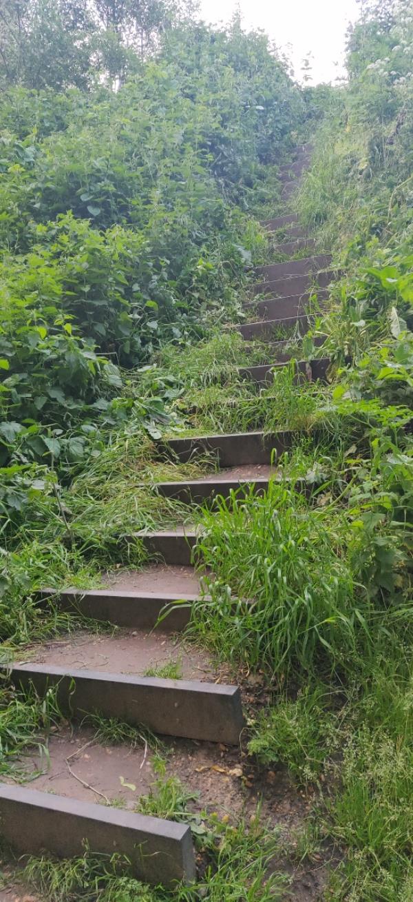 Grass needs to be cuted on the stairs as it's difficult and dangerous to walk for kids.-Play Space