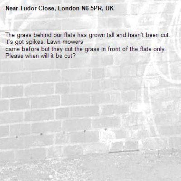 The grass behind our flats has grown tall and hasn&#39;t been cut. it&#39;s got spikes. Lawn mowers 
came before but they cut the grass in front of the flats only. Please when will it be cut?-Tudor Close, London N6 5PR, UK