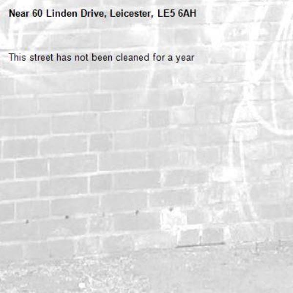 This street has not been cleaned for a year-60 Linden Drive, Leicester, LE5 6AH
