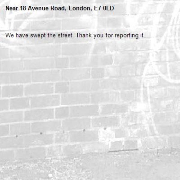 We have swept the street. Thank you for reporting it.-18 Avenue Road, London, E7 0LD