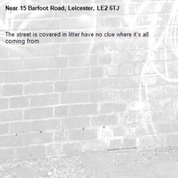 The street is covered in litter have no clue where it’s all coming from -15 Barfoot Road, Leicester, LE2 6TJ