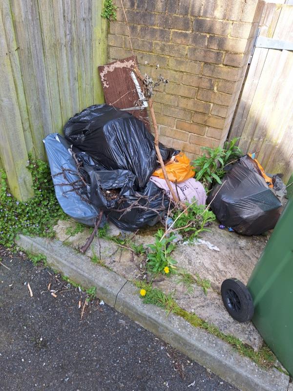 Fly tipping Alfred Rd flats

It's next to house 7 Alfrey Rd opposite the pub 

This has been missing collection a few times now so please can it be collected as urgent 

Thanks johm-Flat 1, 1 Vine Square, Eastbourne, BN22 7QE
