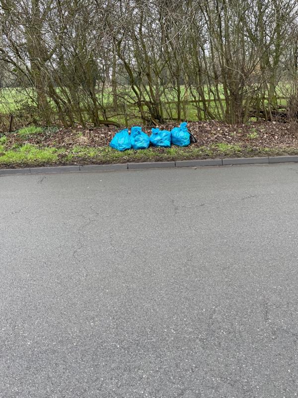 SLLW Volunteer street clean Hamilton Lane Netherhall. 4 x bags general litter ready for collection Thanks -200 Hamilton Lane, Thurnby Lodge, LE7 9SD, England, United Kingdom