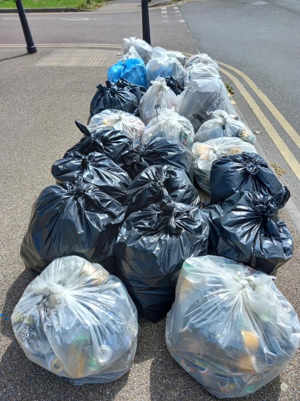 Womble litter pick (LEV) 29 bags of rubbish -Punjabi Karahi, 48-50 Belgrave Road, Leicester, LE4 5AS