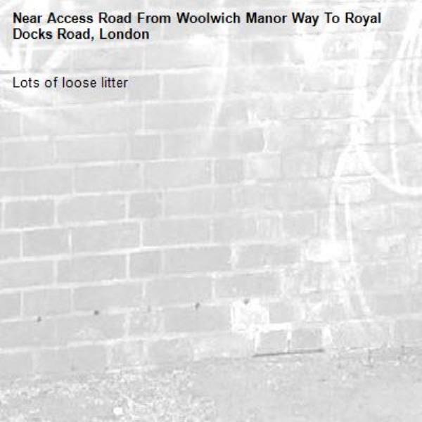 Lots of loose litter-Access Road From Woolwich Manor Way To Royal Docks Road, London