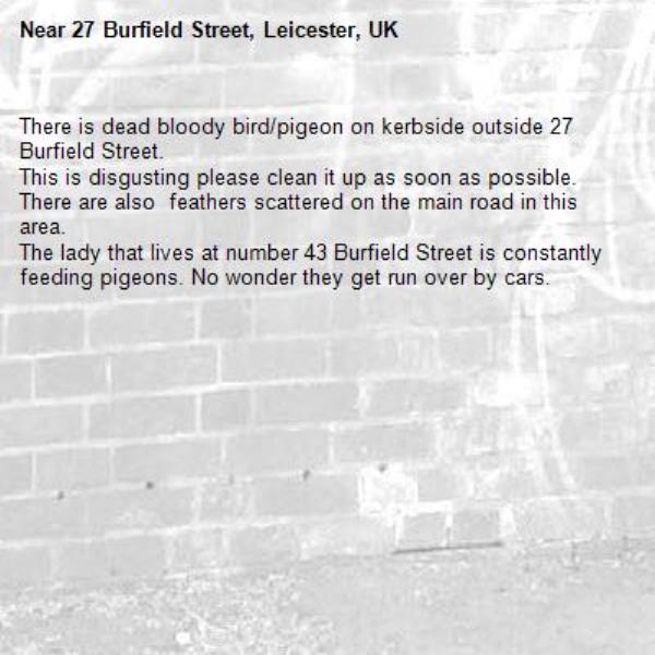 There is dead bloody bird/pigeon on kerbside outside 27 Burfield Street.
This is disgusting please clean it up as soon as possible. There are also  feathers scattered on the main road in this area.
The lady that lives at number 43 Burfield Street is constantly feeding pigeons. No wonder they get run over by cars.-27 Burfield Street, Leicester, UK