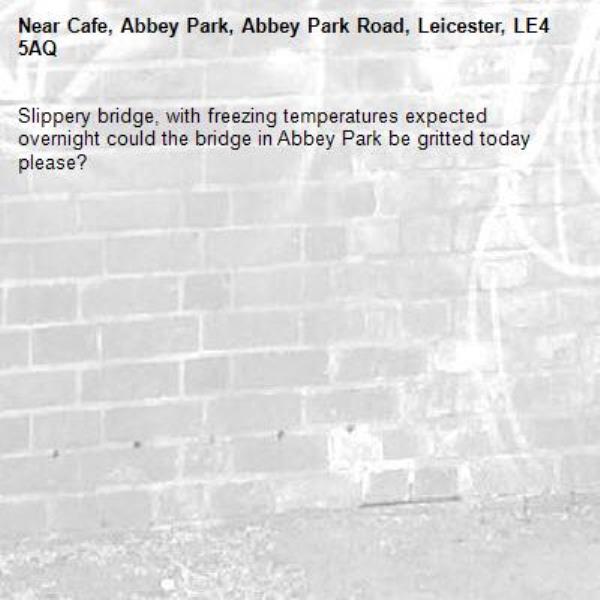 Slippery bridge, with freezing temperatures expected overnight could the bridge in Abbey Park be gritted today please?-Cafe, Abbey Park, Abbey Park Road, Leicester, LE4 5AQ