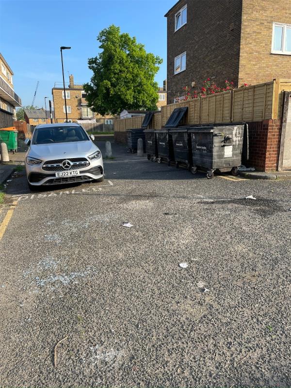 The bin collectors have dumped these Big Bins on the street double yellow line (undesignated place) also blocking the disabled bay access And public pathway.-16 Warmington Street, Plaistow, London, E13 8FH