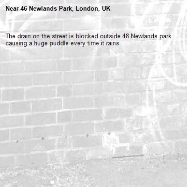 The drain on the street is blocked outside 48 Newlands park causing a huge puddle every time it rains-46 Newlands Park, London, UK