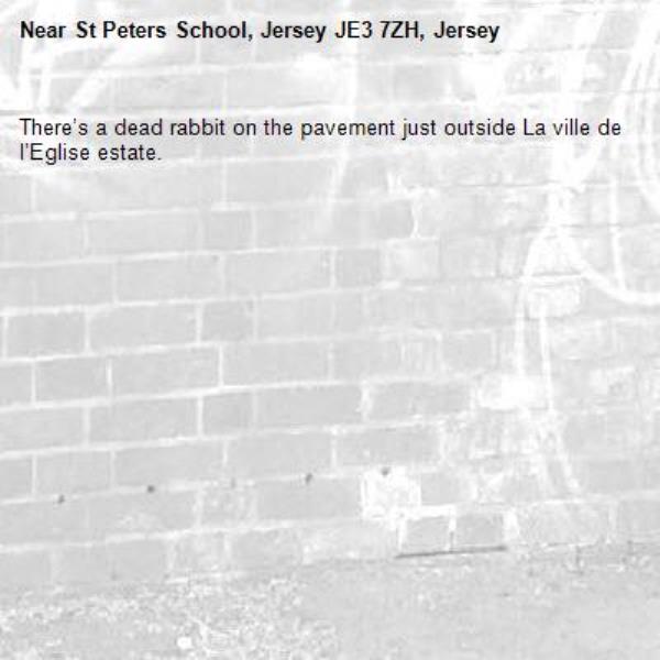 There’s a dead rabbit on the pavement just outside La ville de l’Eglise estate. -St Peters School, Jersey JE3 7ZH, Jersey