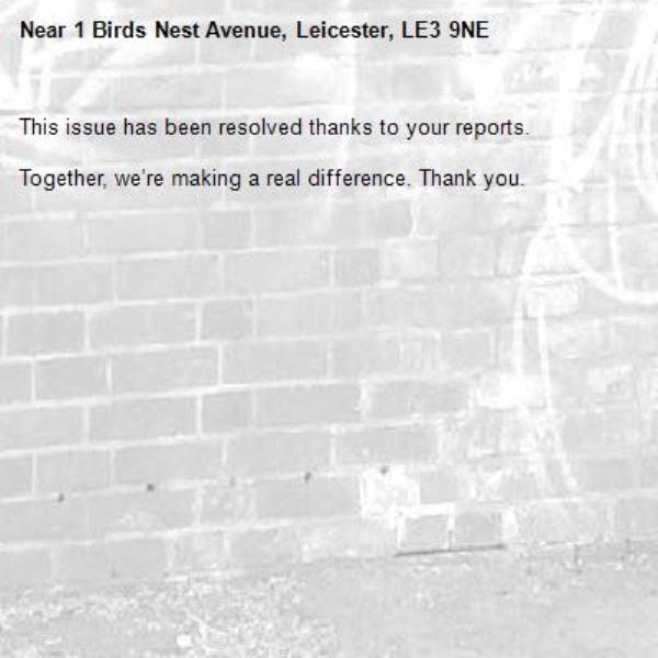 Love Leicester Find reports