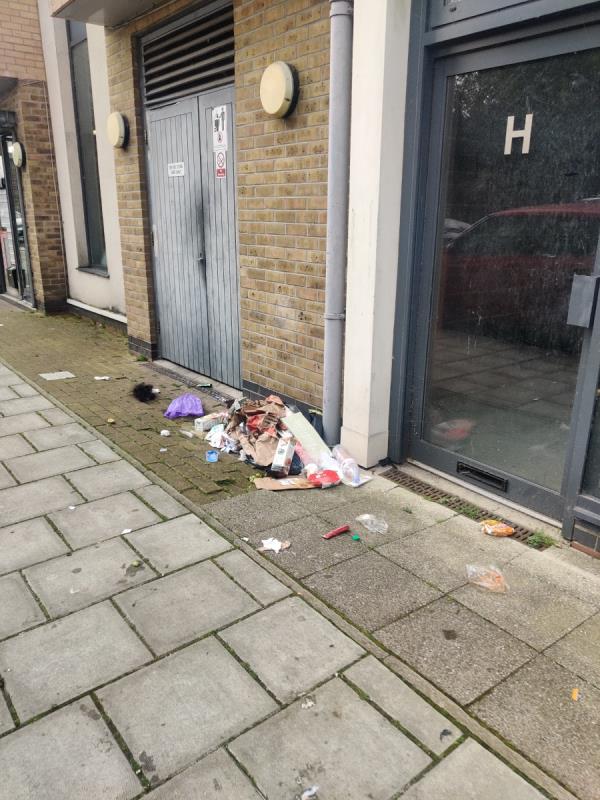 Abandoned domestic rubbish and food outside Arches flats refuse unit. Needs discussion with building managers.-The Arches, 1-33 Childers Street, London, SE8 5BT