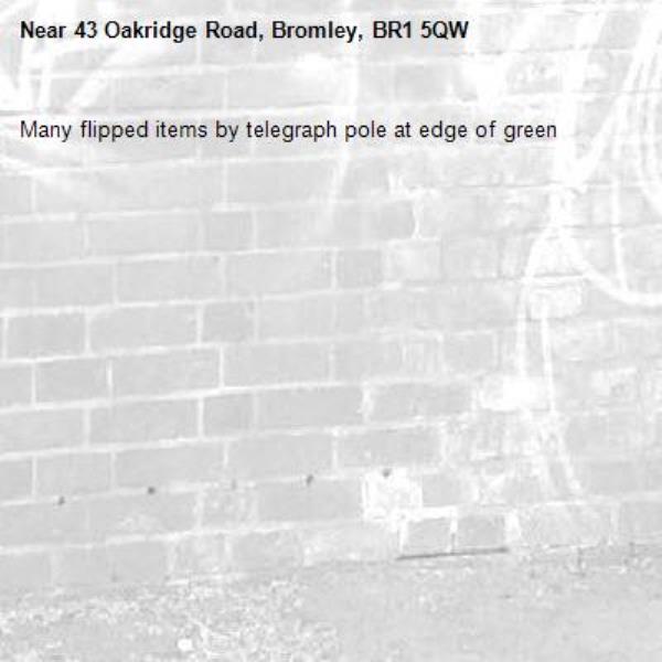 Many flipped items by telegraph pole at edge of green-43 Oakridge Road, Bromley, BR1 5QW