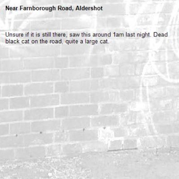Unsure if it is still there, saw this around 1am last night. Dead black cat on the road, quite a large cat. -Farnborough Road, Aldershot