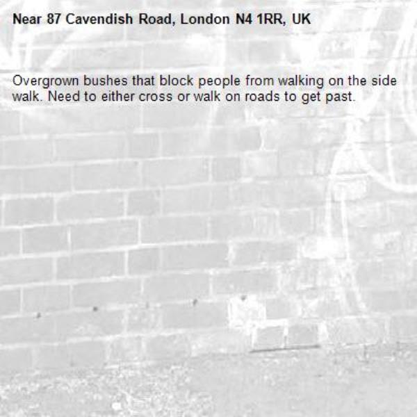 Overgrown bushes that block people from walking on the side walk. Need to either cross or walk on roads to get past. -87 Cavendish Road, London N4 1RR, UK