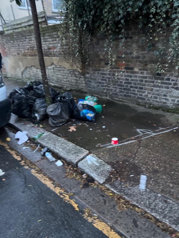 More dumped bags in the usual spot -Harberson Road, Stratford, London