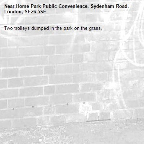 Two trolleys dumped in the park on the grass.-Home Park Public Convenience, Sydenham Road, London, SE26 5SF