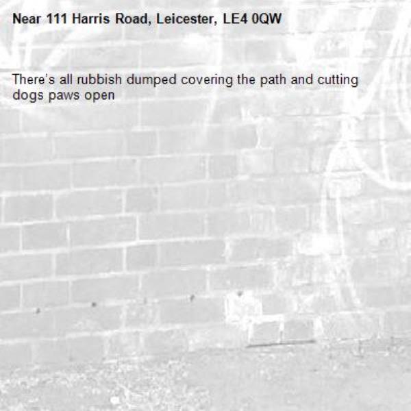 There’s all rubbish dumped covering the path and cutting dogs paws open-111 Harris Road, Leicester, LE4 0QW