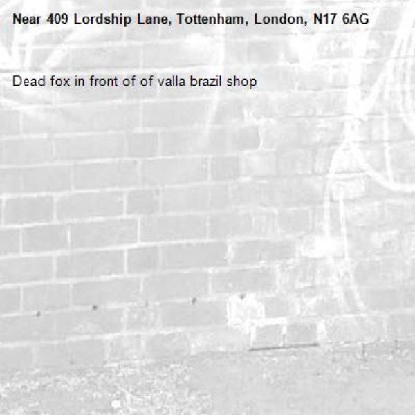 Dead fox in front of of valla brazil shop -409 Lordship Lane, Tottenham, London, N17 6AG