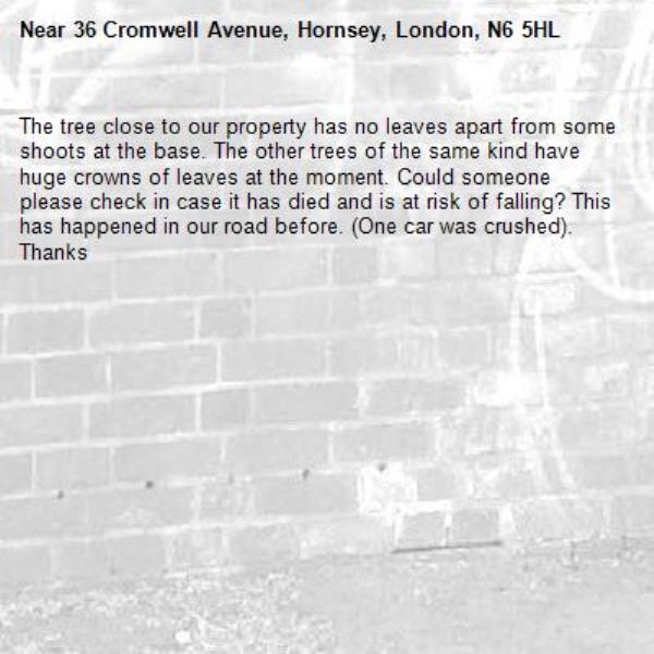 The tree close to our property has no leaves apart from some shoots at the base. The other trees of the same kind have huge crowns of leaves at the moment. Could someone please check in case it has died and is at risk of falling? This has happened in our road before. (One car was crushed). Thanks 
-36 Cromwell Avenue, Hornsey, London, N6 5HL