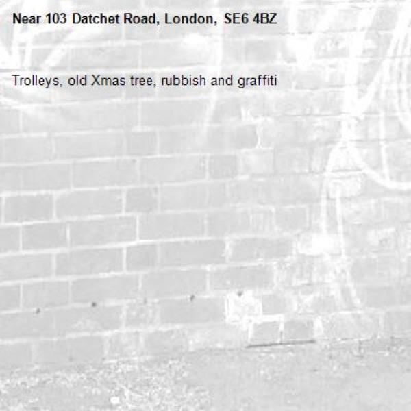 Trolleys, old Xmas tree, rubbish and graffiti -103 Datchet Road, London, SE6 4BZ