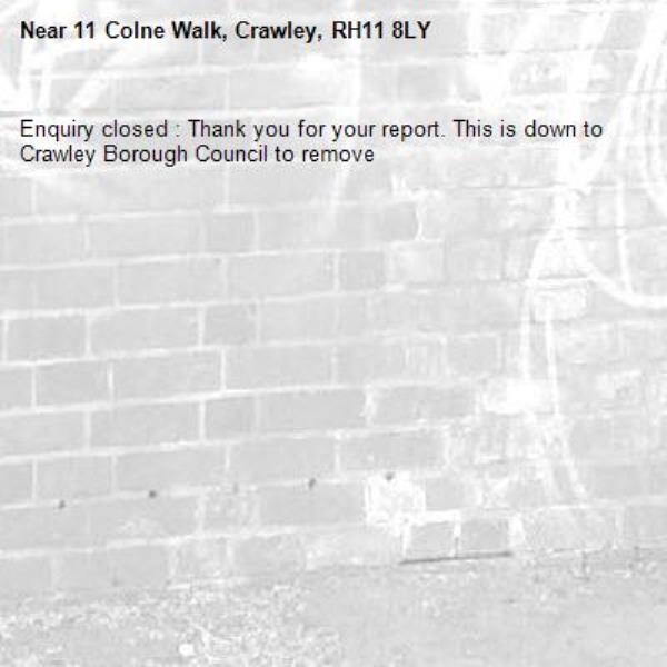Enquiry closed : Thank you for your report. This is down to Crawley Borough Council to remove-11 Colne Walk, Crawley, RH11 8LY