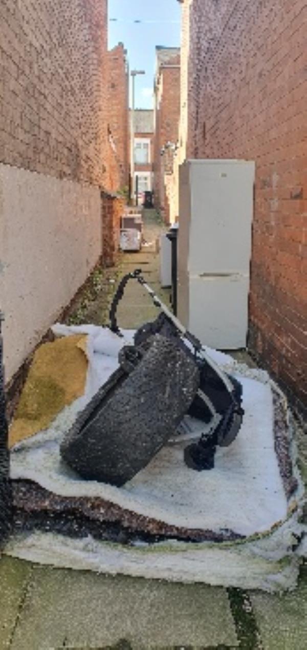 6 freezers, 1 mattress, tyres, pushchairs, a trolley, alleyway looks like Currys! Apalling condition, no access in emergency. ILLEGAL FLYTIPPING!!!!!-65 Vaughan Street, Leicester, LE3 5JN