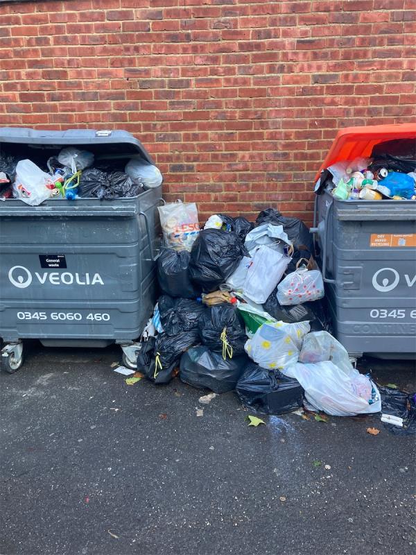There is rubbish all over the bins and they are overflowing. It is absolutely disgusting -Flat 1, 1 Wantage Road, Reading, RG30 2SH