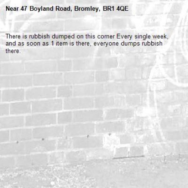 There is rubbish dumped on this corner Every single week, and as soon as 1 item is there, everyone dumps rubbish there.
-47 Boyland Road, Bromley, BR1 4QE