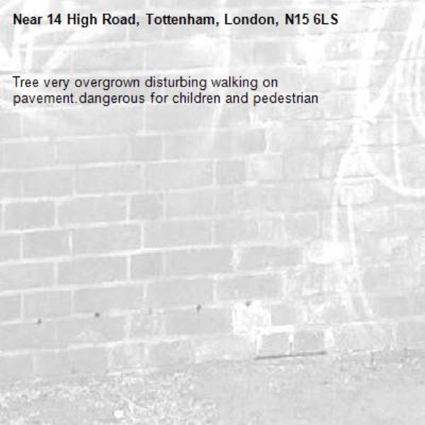 Tree very overgrown disturbing walking on pavement.dangerous for children and pedestrian -14 High Road, Tottenham, London, N15 6LS