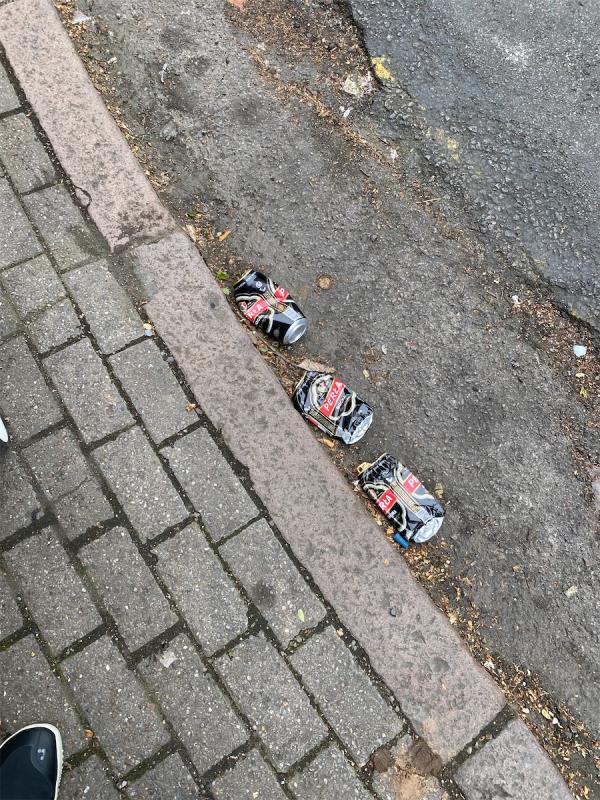 Persistent flytipping issue here, again lots of drinking and antisocial behaviour. My son almost picked up one of these cans with alcohol in it. It’s disgusting and needs to stop -Flat 1, 86 Percival Street, Leicester, LE5 3NQ