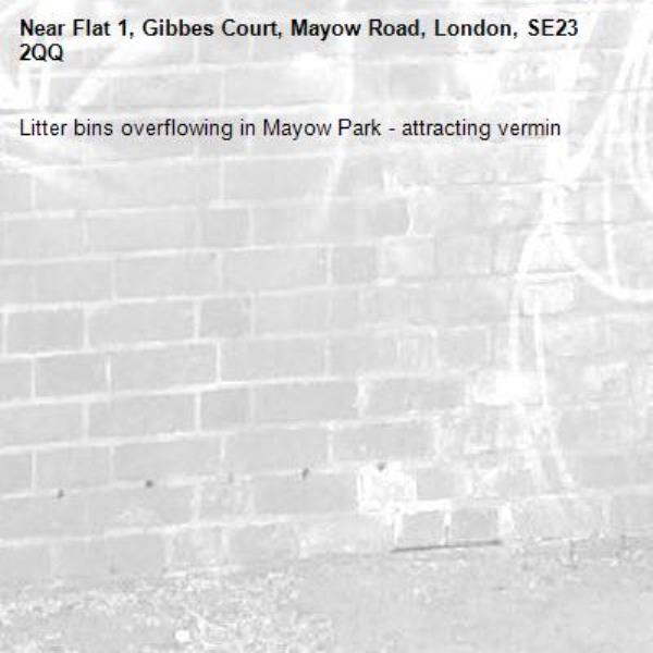 Litter bins overflowing in Mayow Park - attracting vermin -Flat 1, Gibbes Court, Mayow Road, London, SE23 2QQ