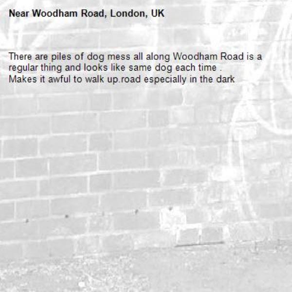 There are piles of dog mess all along Woodham Road is a regular thing and looks like same dog each time .
Makes it awful to walk up.road especially in the dark-Woodham Road, London, UK