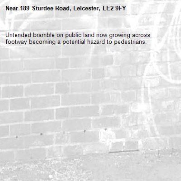 Untended bramble on public land now growing across footway becoming a potential hazard to pedestrians.-189 Sturdee Road, Leicester, LE2 9FY