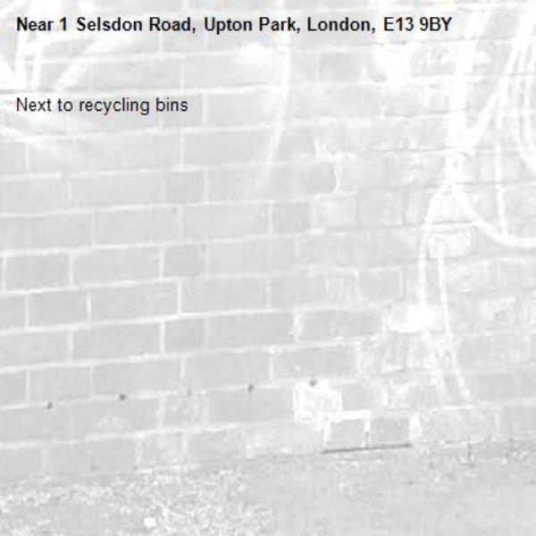 Next to recycling bins-1 Selsdon Road, Upton Park, London, E13 9BY