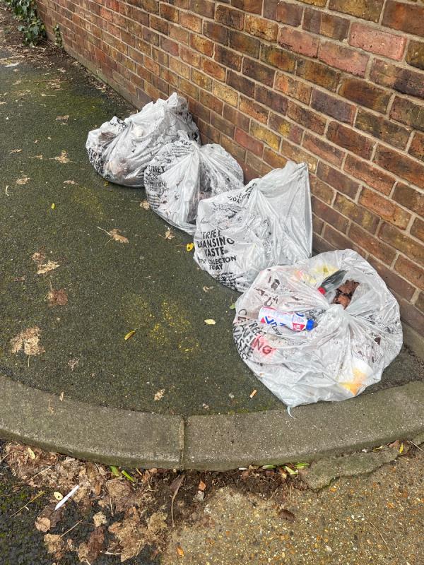 Street cleaning bags to be picked up -60 Maryland Park, Stratford, E15 1HB, England, United Kingdom
