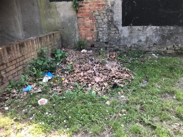 On Grass area  in front of 88 Court Hill Road. Please clear build up of litter-100 Hither Green Lane, Hither Green, London, SE13 6PT